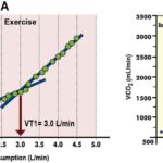 Figure 24