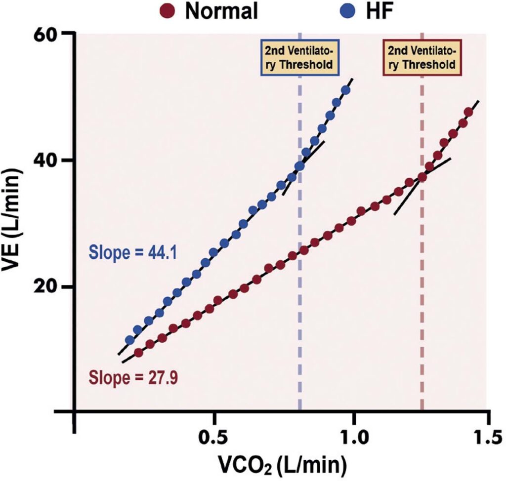 Figure 25