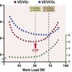 Figure 26