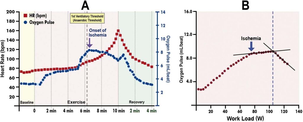 Figure 28