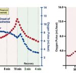 Figure 28