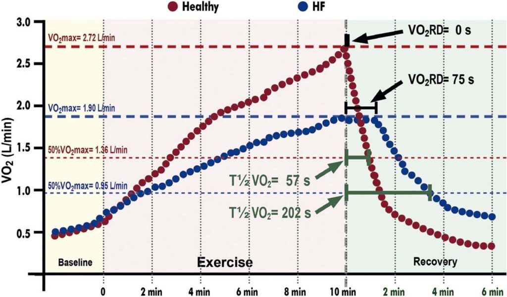 Figure 32