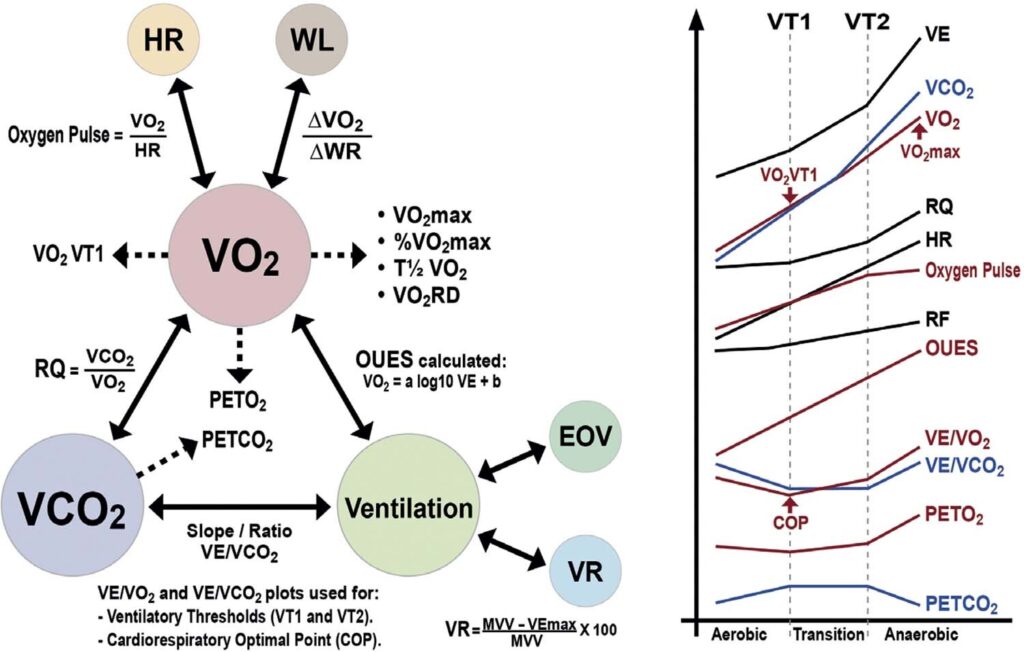 Figure 33