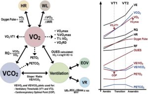 Figure 33