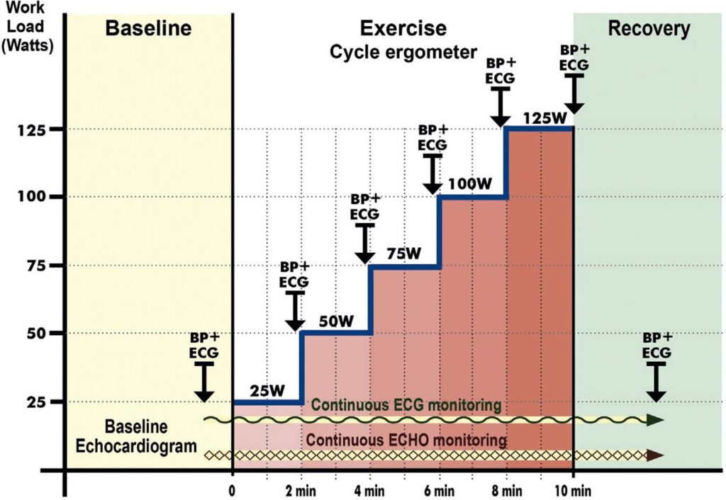 Figure 35