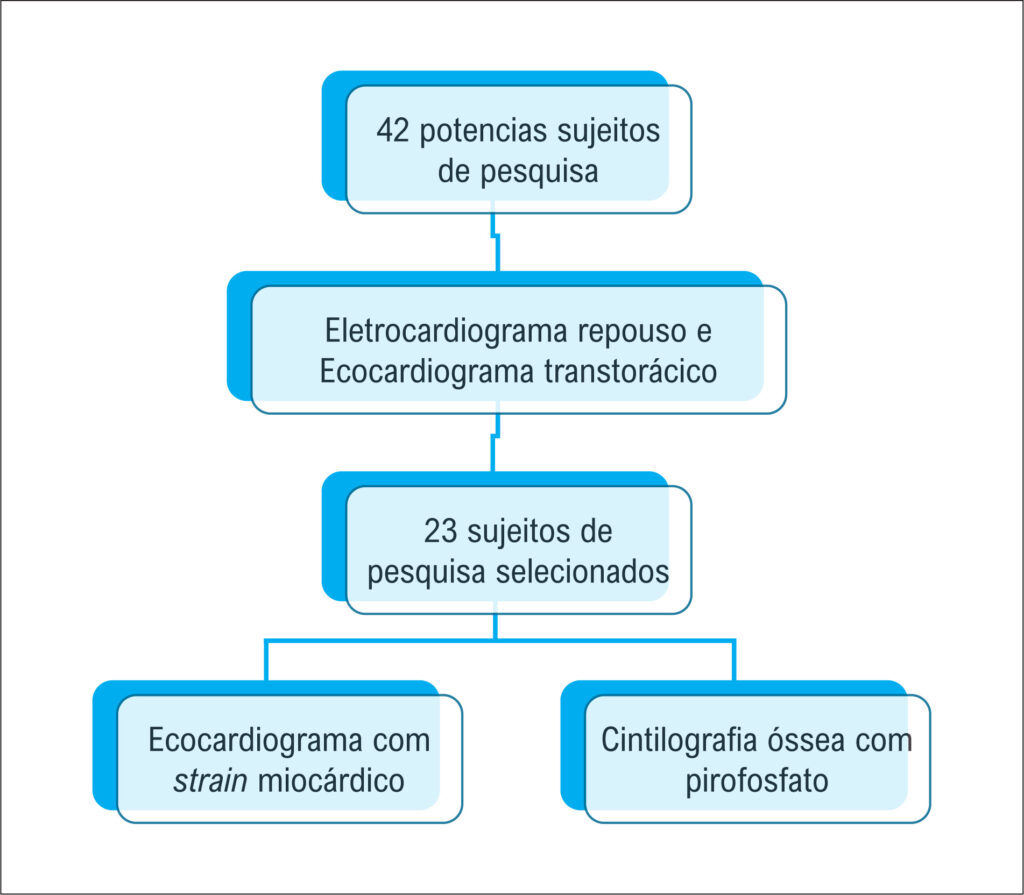 Figura 1