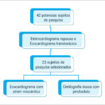 Figura 1