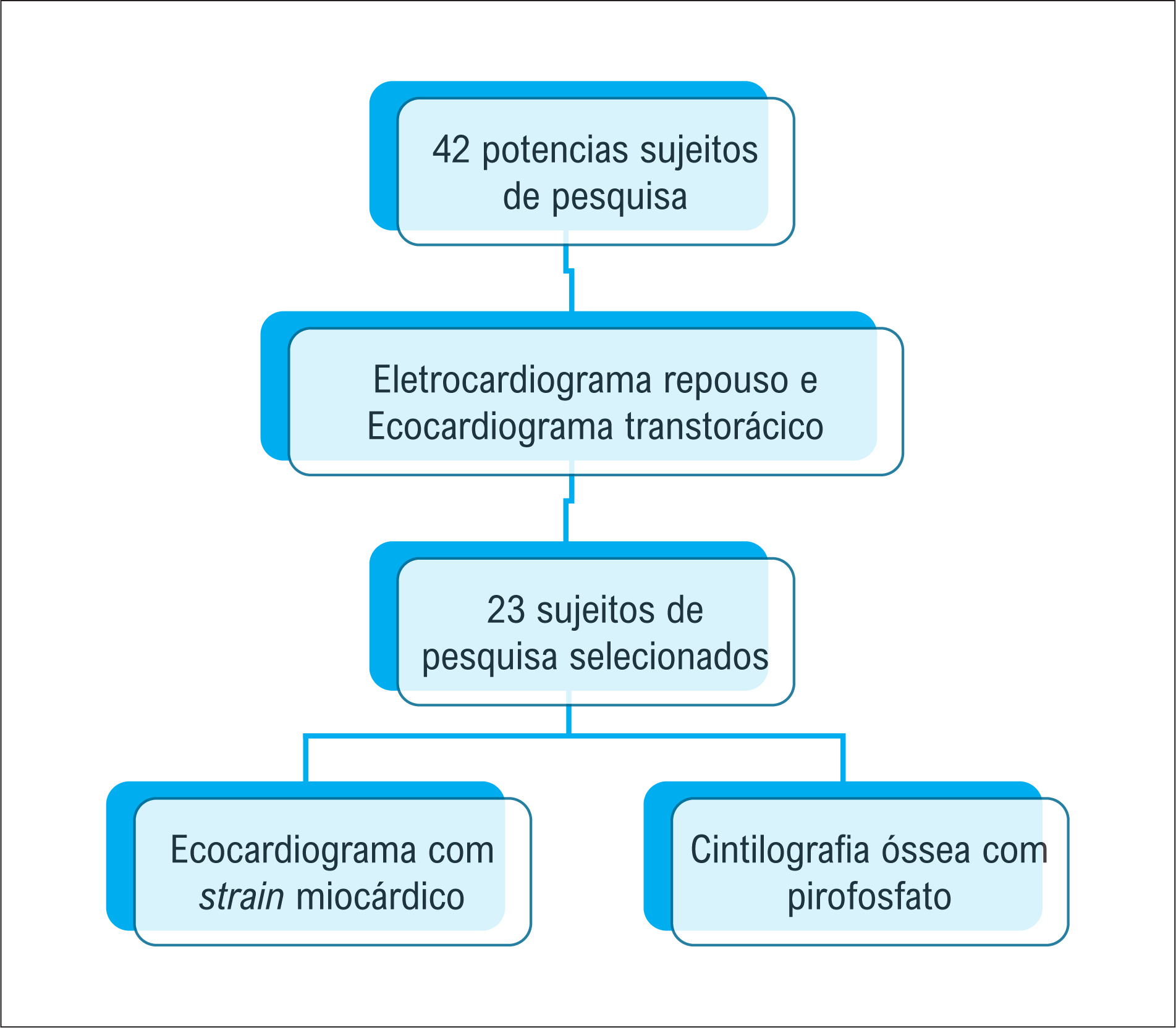 Figura 1