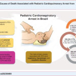 CPA: cardiopulmonar arrest; DC: death certificate.