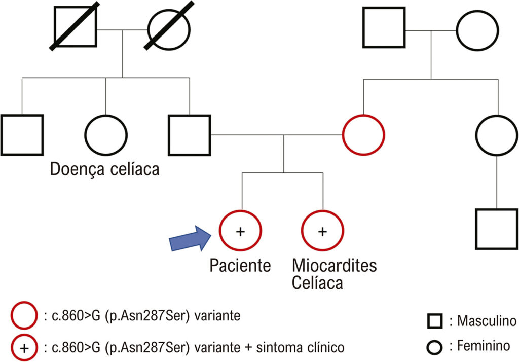 Figura 2