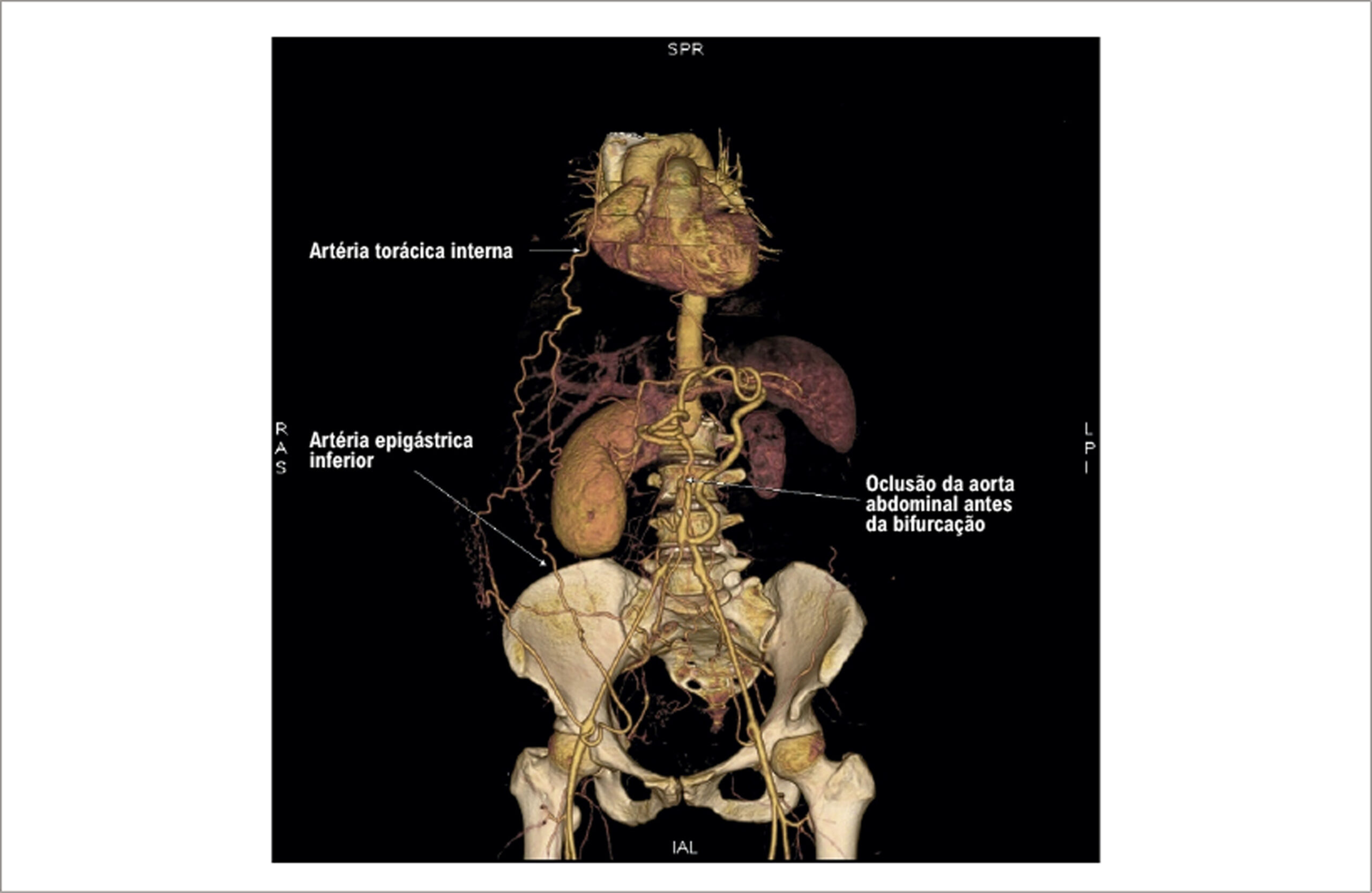 Figura 1