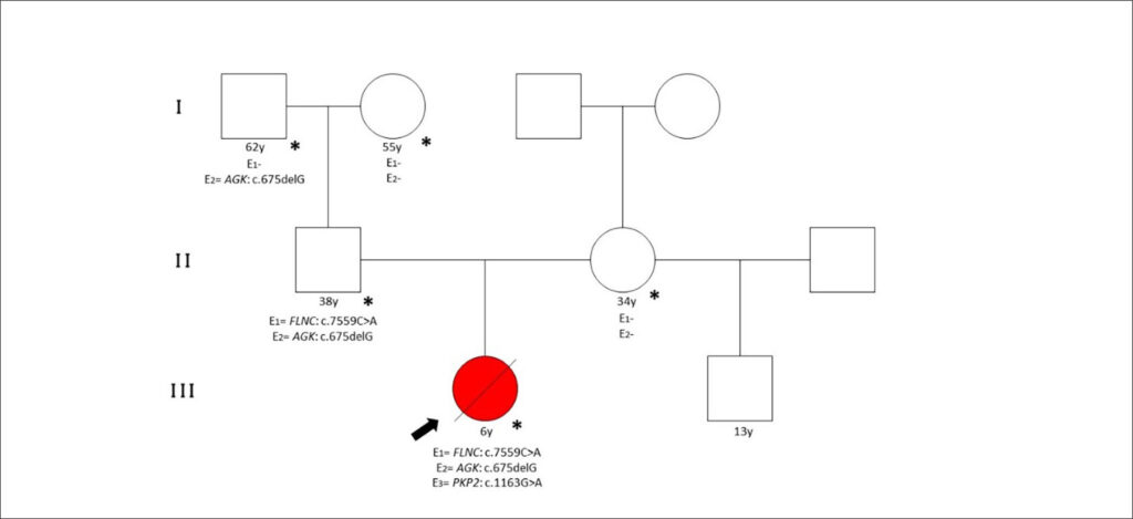 Figura 2
