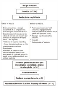 Figura 1
