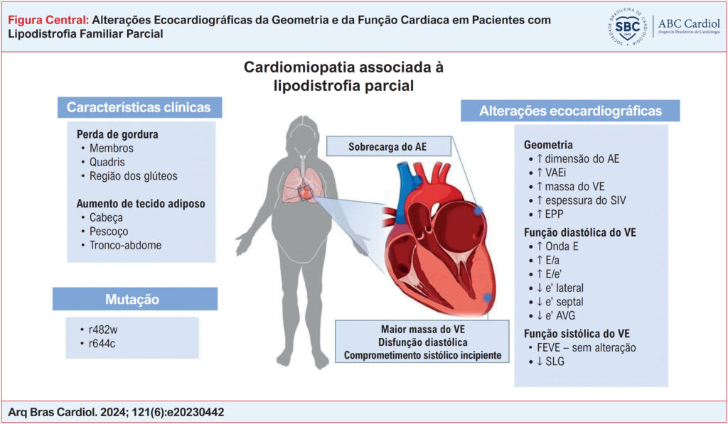 Imagem 1 da galeria