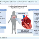 Imagem 1 da galeria