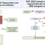 Figura 2