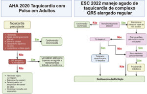 Figura 2