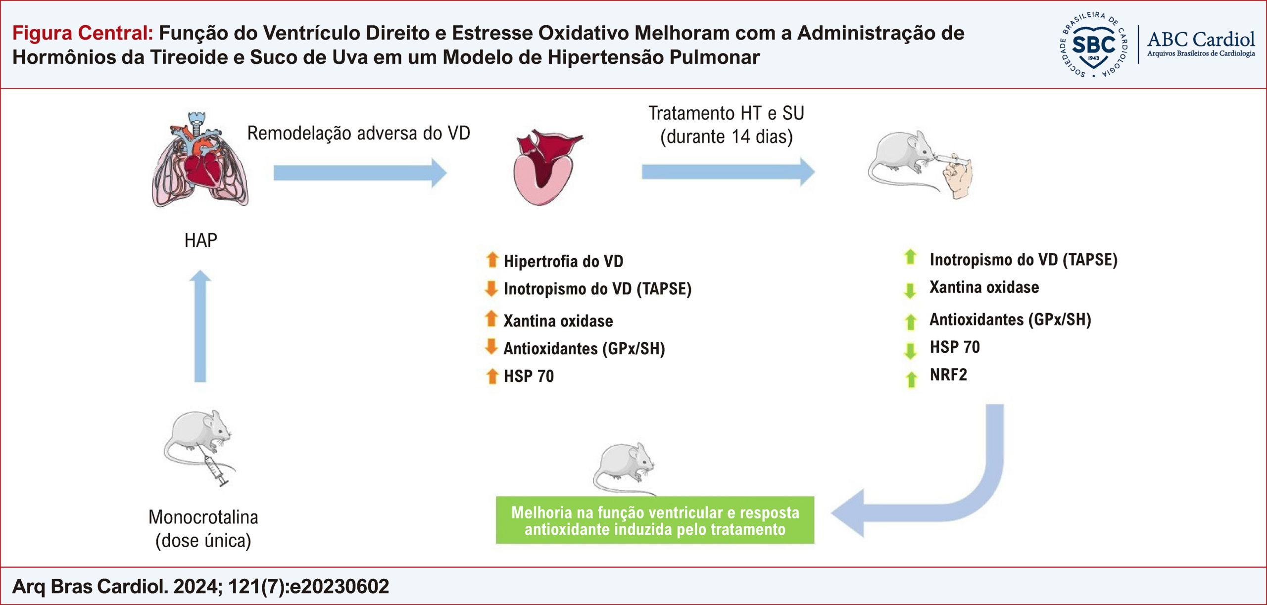Função do Ventrículo Direito e Estresse Oxidativo Melhoram com a Administração de Hormônios da Tireoide e Suco de Uva em um Modelo de Hipertensão Pulmonar