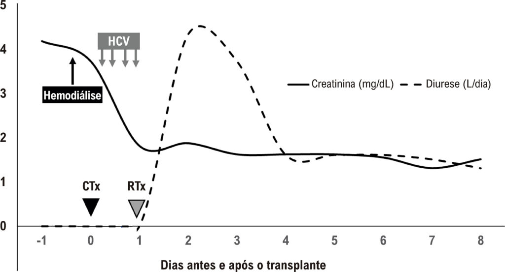 Figura 1