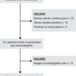 Figura 1