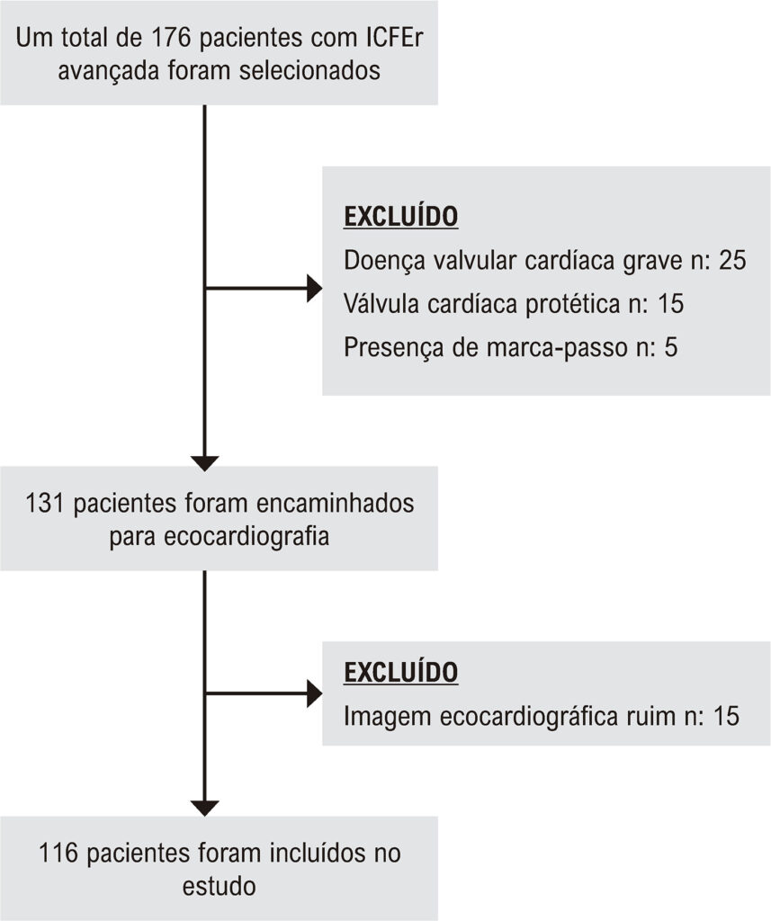 Figura 1
