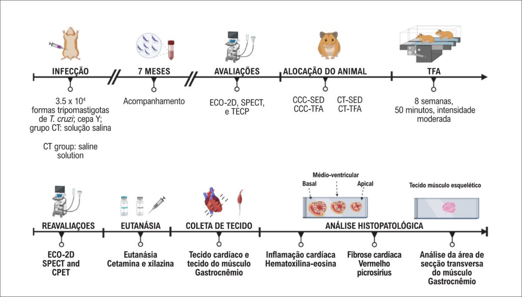 Figura 1