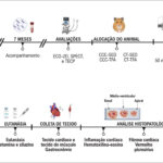 Figura 1
