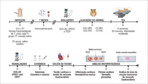 Figura 1