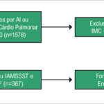 Figura 1