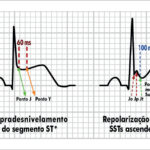 Figura 5