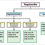 Figura 6