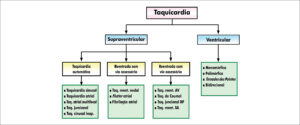 Figura 6