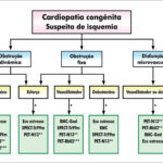 Figura 7