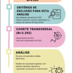 Figura 1