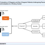 Prognostic evaluation of Chagas and non-Chagas patients undergoing pacemaker implantation. HR: Hazard Ratio; CI: Confidence Interval.