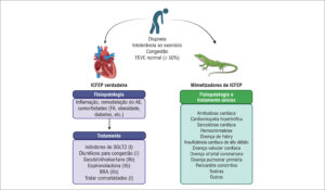 Figura 1