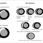 Figura 4