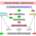 Figura 5