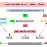 Figura 6