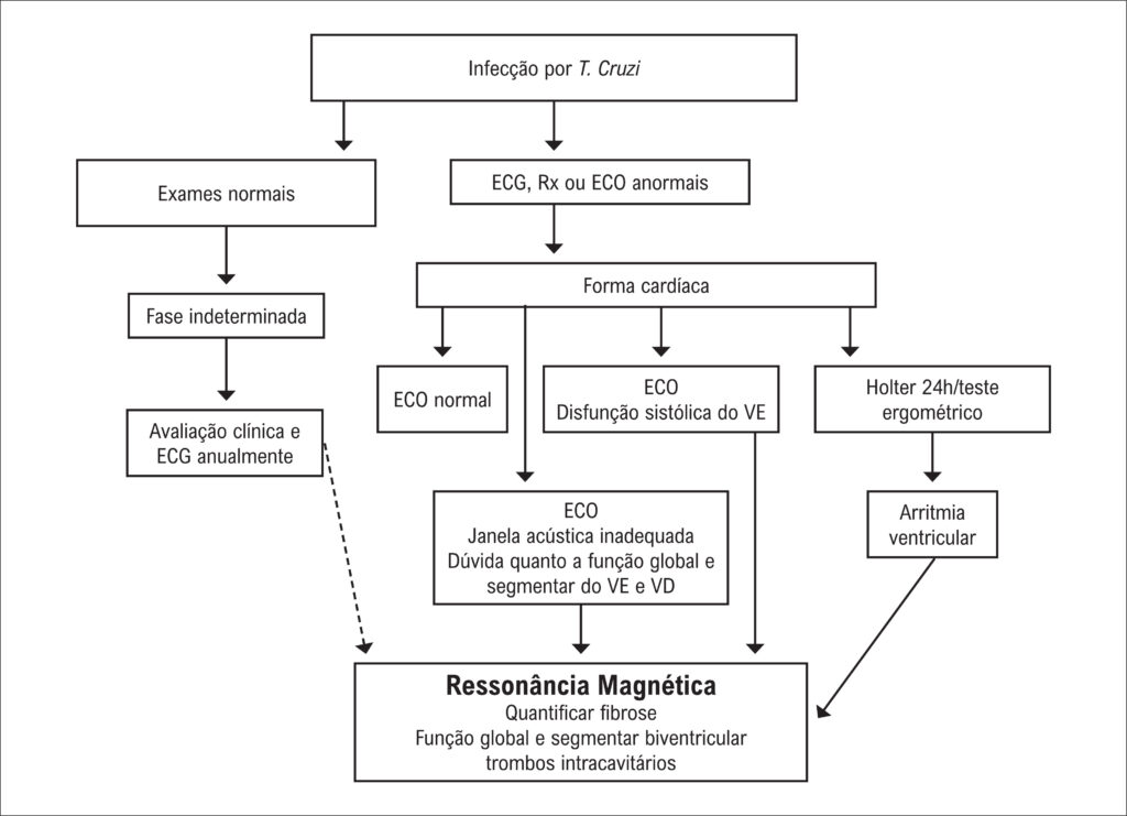 Figura 7