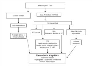 Figura 7