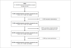 Figura 1