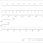 Figura 3