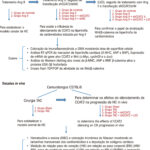 Figura 1