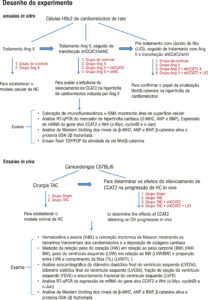 Figura 1