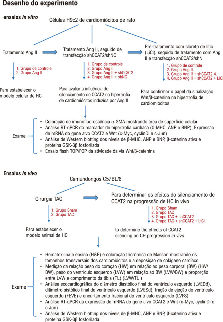 Figura 1