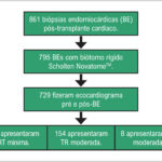 Figura 1