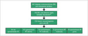 Figura 1