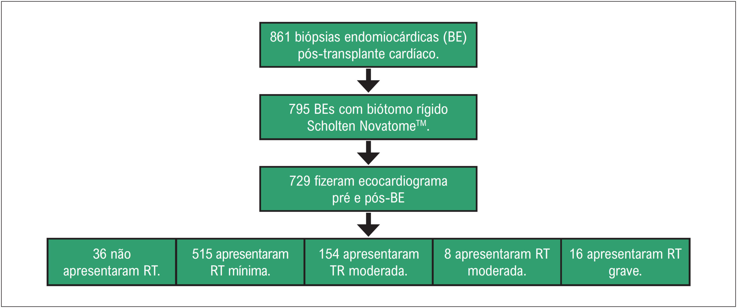 Figura 1
