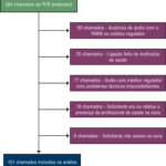 Figura 1